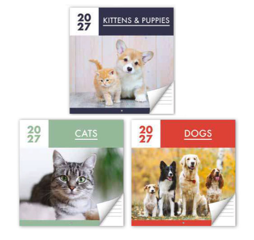 2027 puppy cat dog kitten - dog,