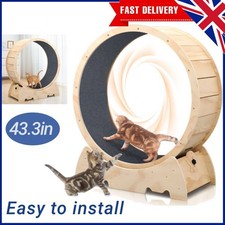 Cat Exercise Wheel Cat Treadmill Cat Running Wheel Cat Treadmill Wheel Exerciser