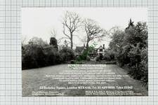 9523) South Nutfield Surrey - 1981 Cutting