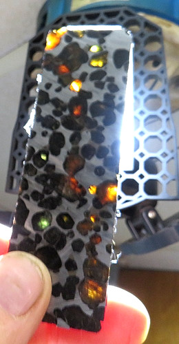 Sericho pallasite - gm,