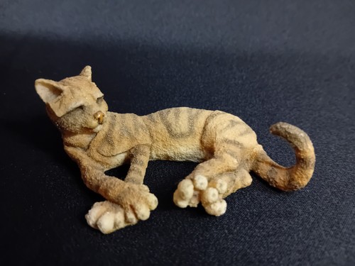 Breed apart tabby cat dandy - a,
