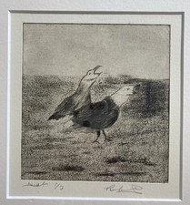 Vintage Etching Of Birds