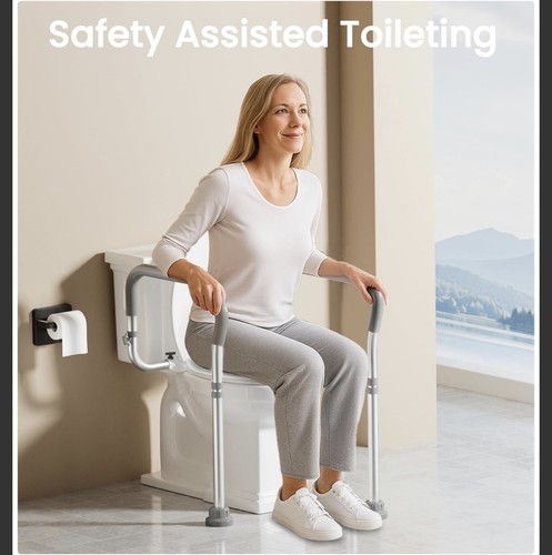 Homland toilet safety rails - toilet,