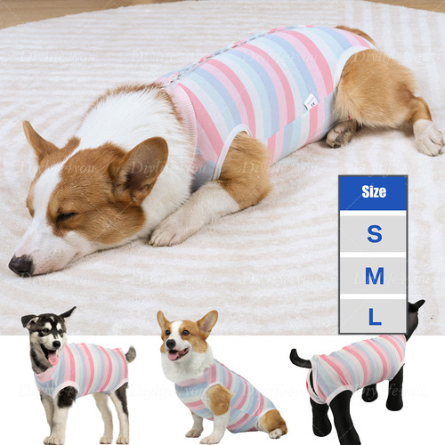 Pet dog recovery - pet,