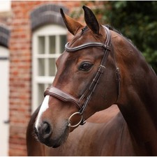 Shires Velociti LUSSO Opus