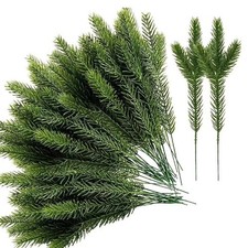 30/10X Pine Needles Plant