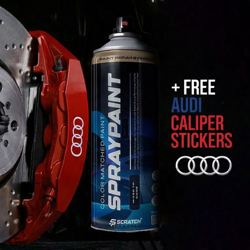 Audi exclusive paint aerosol - audi,