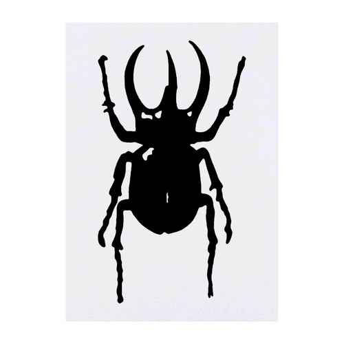 Atlas beetle temporary - 'atlas,