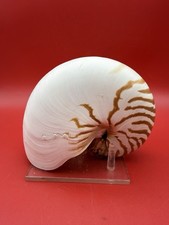 Beautiful VTG EXTRA LARGE