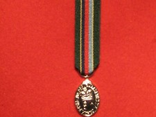 Miniature VRSM Volunteer