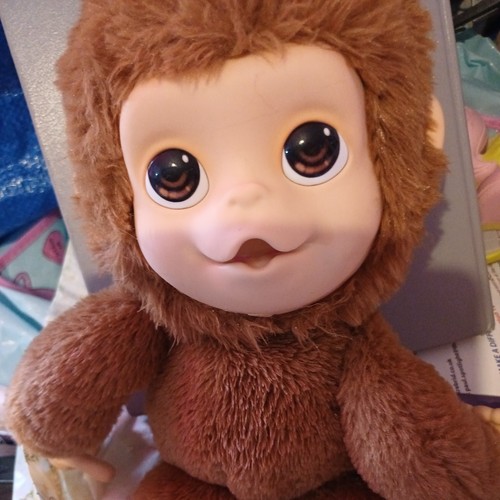 Little live pet - live, money