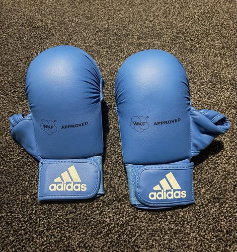 Blue karate mitts with - mitts,