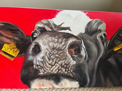 Thuline lakeland cow original - lakeland,