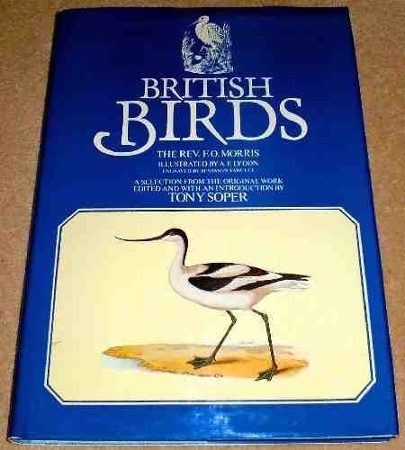 British birds the rev o - by,