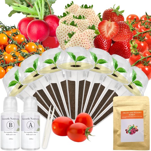 Strawberry pineberry seed - pineberry,