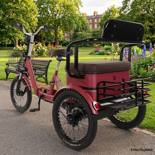 Shopping electric trike - shopping,