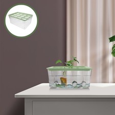  Desktop Hydroponic System