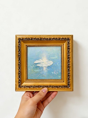 Water lily leaf glimmer - water,