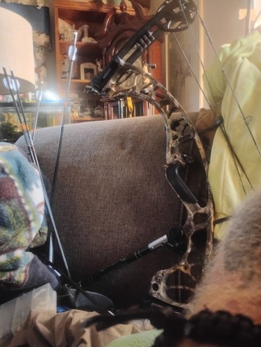 Hoyt torrexxl - hoyt,