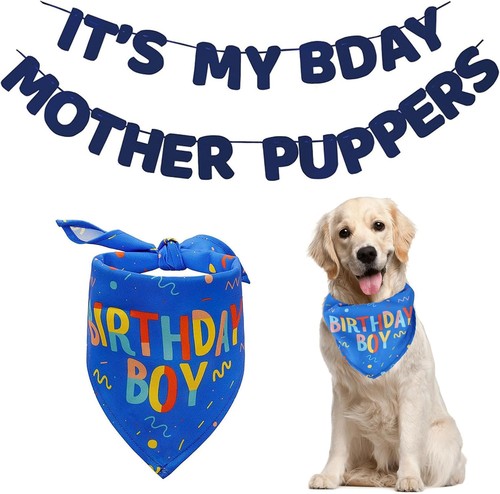 Dog birthday bandana banner - birthday,