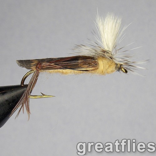 Dozen para hopper - 1,
