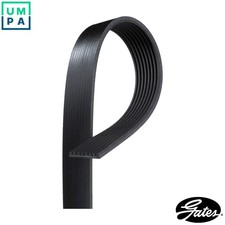 VRIBBED BELT 6PK893XS FOR
