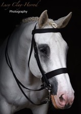 English Leather Bridle Extra Full Hunter Nose Band And Brow Band