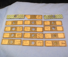 VICTORIAN ANTIQUE MICROSCOPE SLIDES SPECIMEN LAB MICRO INSECT WING ENTOMOLOGY