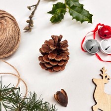 Christmas dried fruits cones