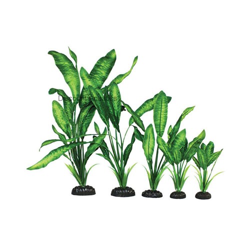 Narrow leaf silk - narrow, aquarium