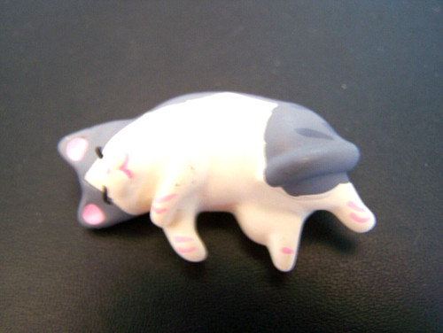 Grey white cat - white, 3d