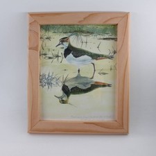 Lapwing print original framed Book plate 1 of 1 (handmade cedar) Keith Brockie
