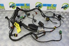 Aprilia Tuono V4 1000 Wiring