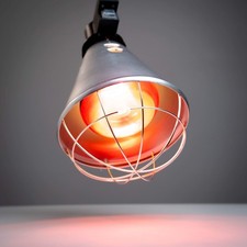 Infrared Heat Lamp Poultry