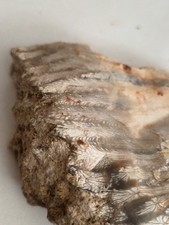 Tisbury Starstone, Star Stone