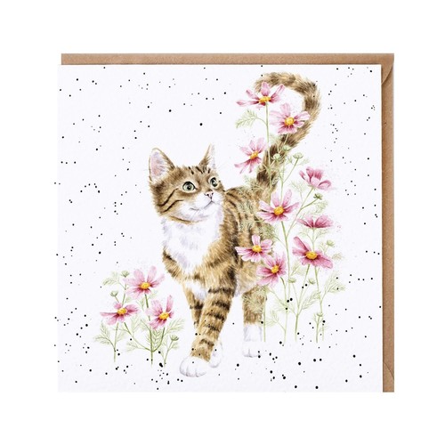 Wrendale birthday card cat - card,