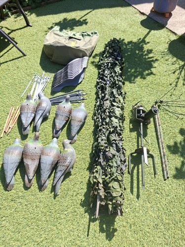 Pigeon shooting hide and decoy - shooting,