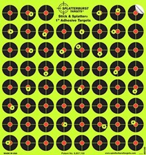 Splatterburst Targets 10 Pack