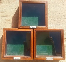 VICTORIAN/ EDWARDIAN ARMY  OFFICERS HELMET PLATE BADGE DISPLAY CASES PRE WW1