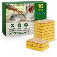 Cleaning sponge washing - sponge, up