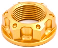 Steering Head Nut Evotech