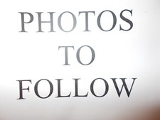 6 Poppy Mugs,  Fine Bone