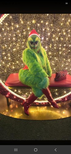 Grinch green faux fur complete - faux,