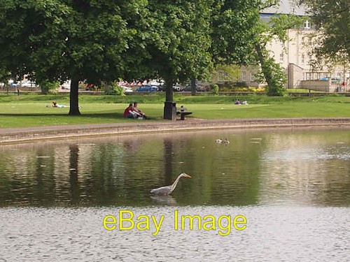Photo 6x4 heron the boating - heron,