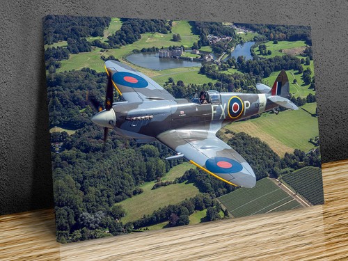 Supermarine spitfire mounted - supermarine,