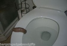 Fake pretend realistic toilet - fake,