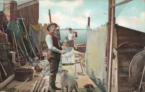 Chicago illinois 1906 great - chicago,