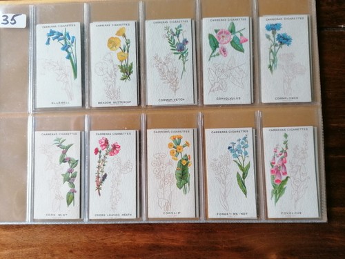 Carreras full set - set-, flower