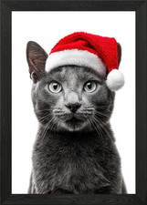 Russian blue cat with santa - blue,