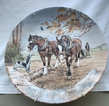 Wedgewood Collectors Plate.